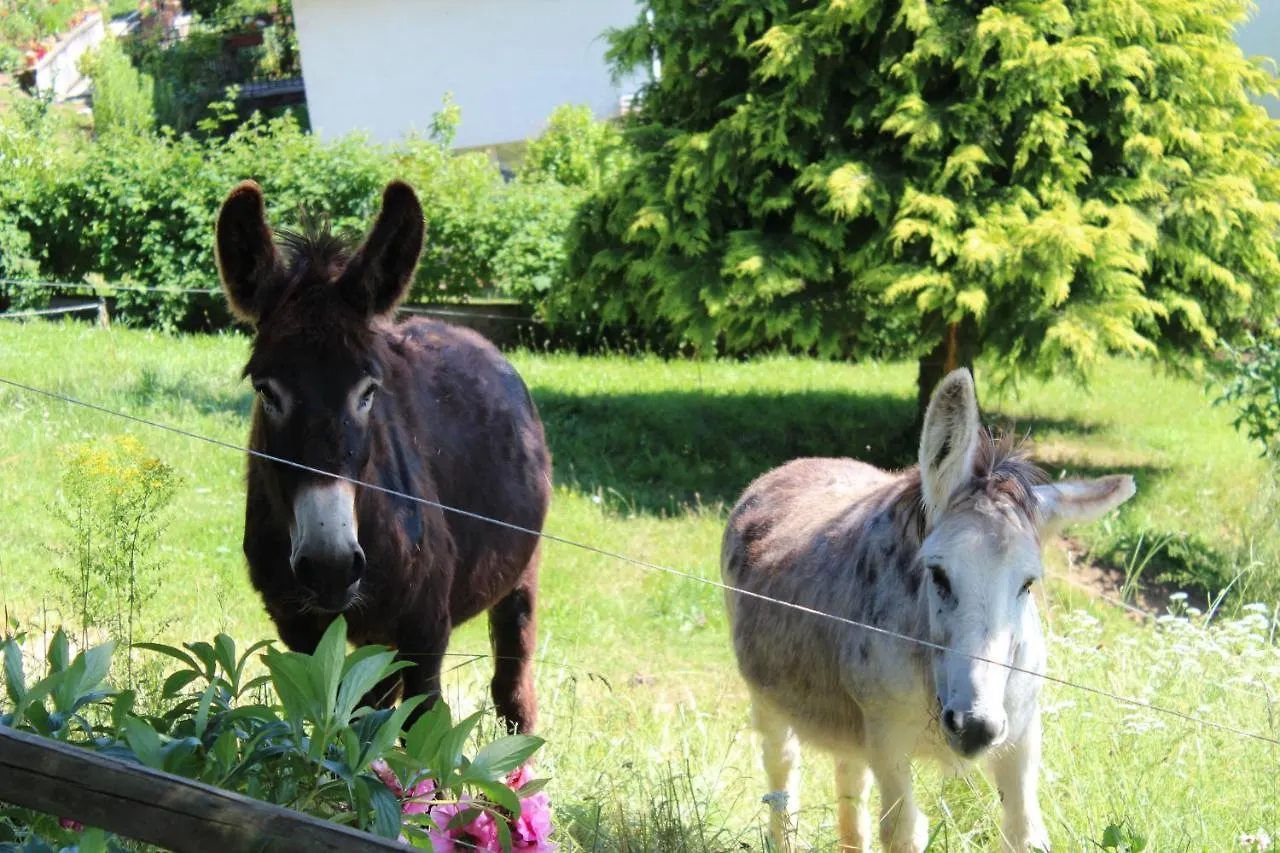 Guest house Chambres D'Hotes A La Campagne Ladinhac